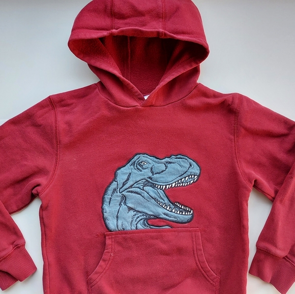 Gymboree dinosaur hoodie 7-8 years - Picture 11 of 15